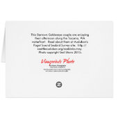 Goldeneye Ducks Out There (Back Horizontal)