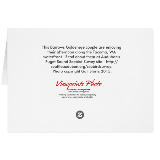 Goldeneye Ducks Out There (Back Horizontal)