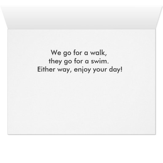 Goldeneye Ducks Out There (Inside Horizontal (Bottom))