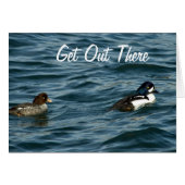 Goldeneye Ducks Out There (Front Horizontal)