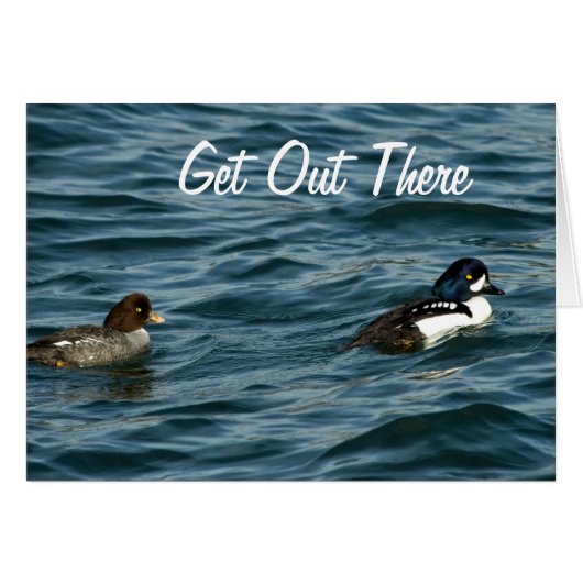 Goldeneye Ducks Out There Cards (Front Horizontal)