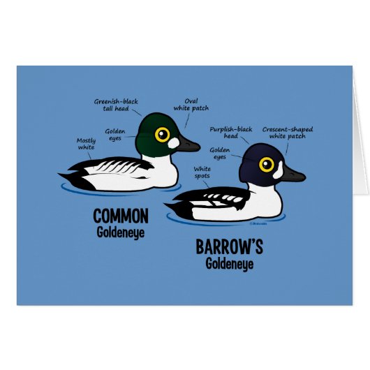 Goldeneye vs Goldeneye (Front Horizontal)