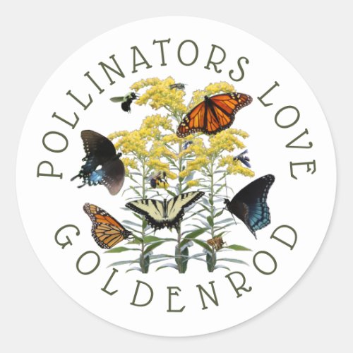 Goldenrod Solidago Wildflower and Pollinators Clas Classic Round Sticker