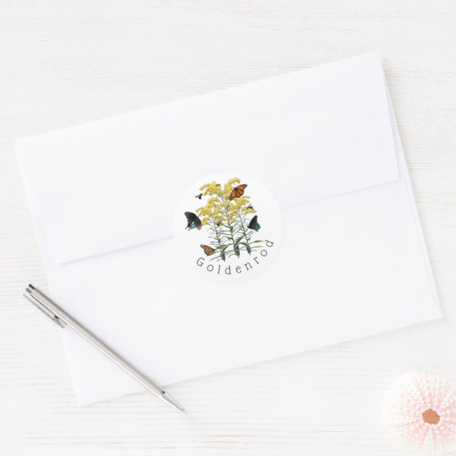 Goldenrod Solidago Wildflower and Pollinators Classic Round Sticker (Envelope)