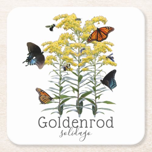 Goldenrod Solidago Wildflower and Pollinators Square Paper Coaster