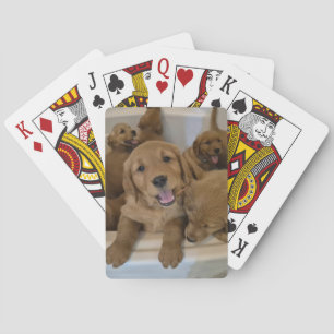 Goldens in a tub poker cards