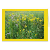Goldernrod in a Wisconsin Prairie Garden (Front Horizontal)
