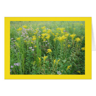 Goldernrod in a Wisconsin Prairie Garden Cards