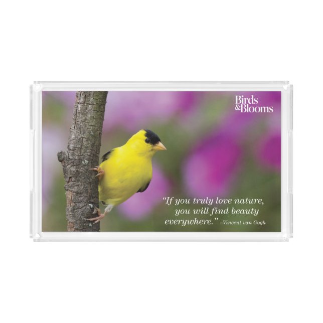 Goldfinch Acrylic Tray (Front)