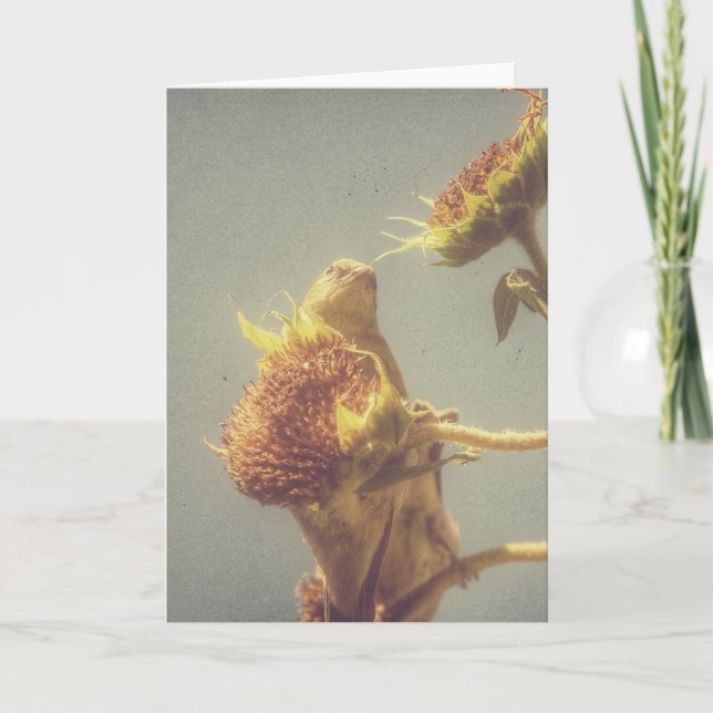 Goldfinch and a Sunflower Retro Photography Card (Front)