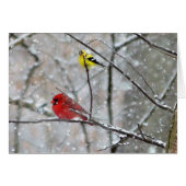 Goldfinch And Cardinal (Front Horizontal)
