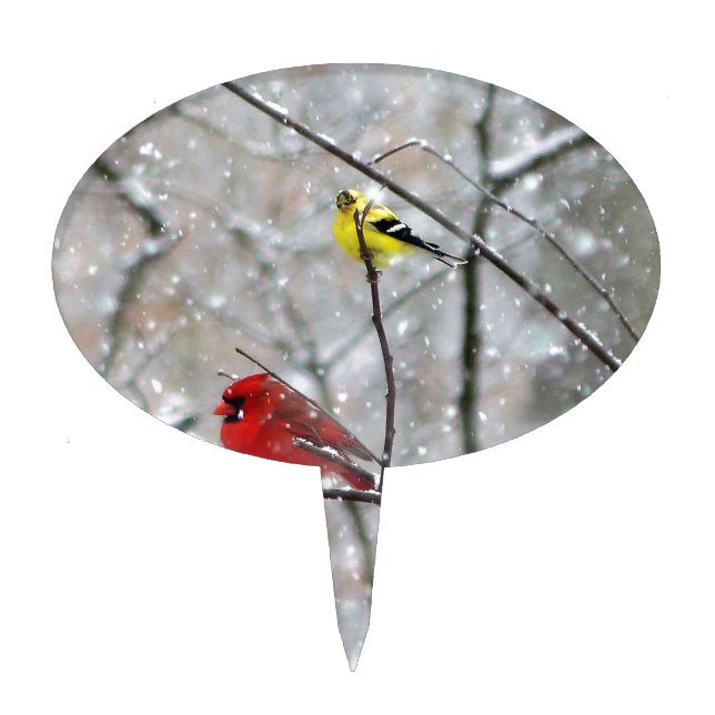 Goldfinch And Cardinal Cake Topper (Front)
