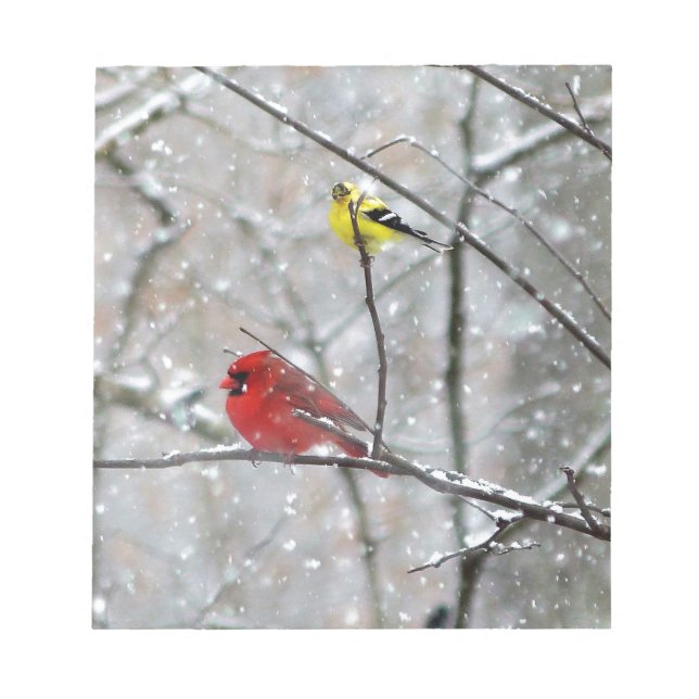Goldfinch And Cardinal Notepad (Front)