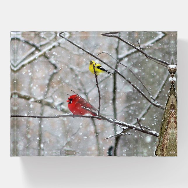 Goldfinch and Cardinal Paperweight (Front)