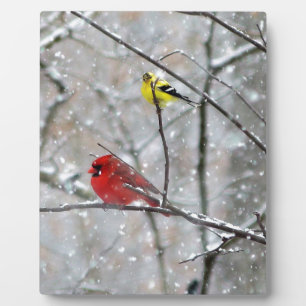 Goldfinch And Cardinal Plaque
