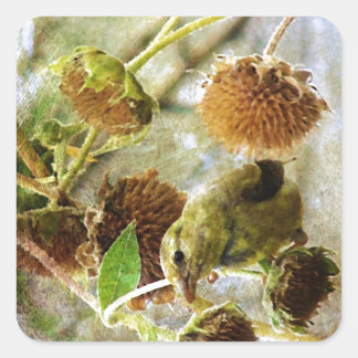 Goldfinch and Sunflowers Square Sticker