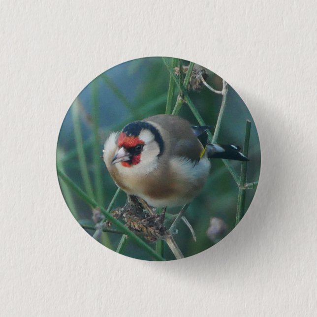 Goldfinch Badge Button (Front)
