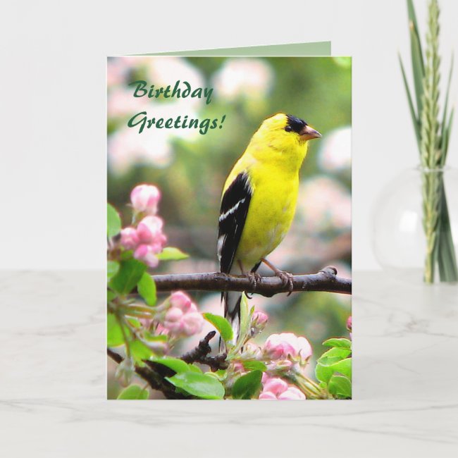 Goldfinch Bird and Pink Flowers Birthday Card