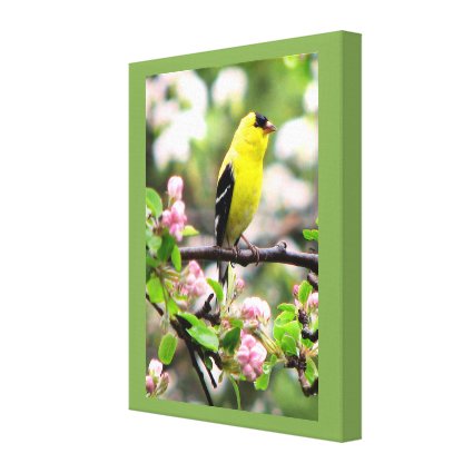 Goldfinch Bird and Pink Flowers Canvas Print