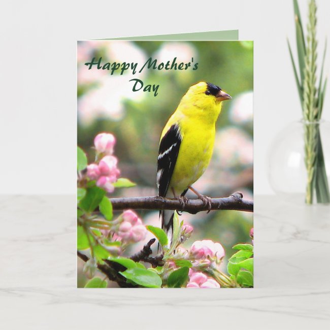 Goldfinch Bird and Pink Flowers Mothers Day Card