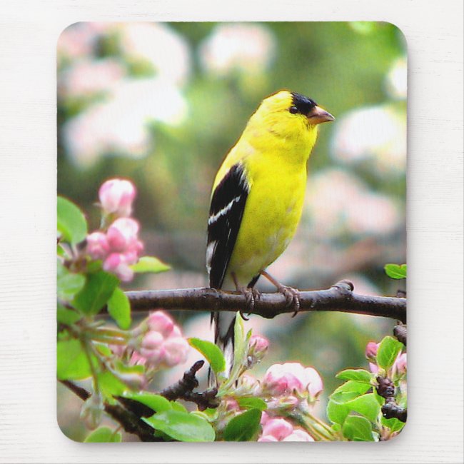 Goldfinch Bird and Pink Flowers Mousepad