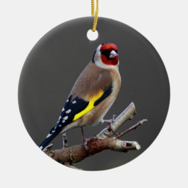 Goldfinch bird ceramic ornament (Front)