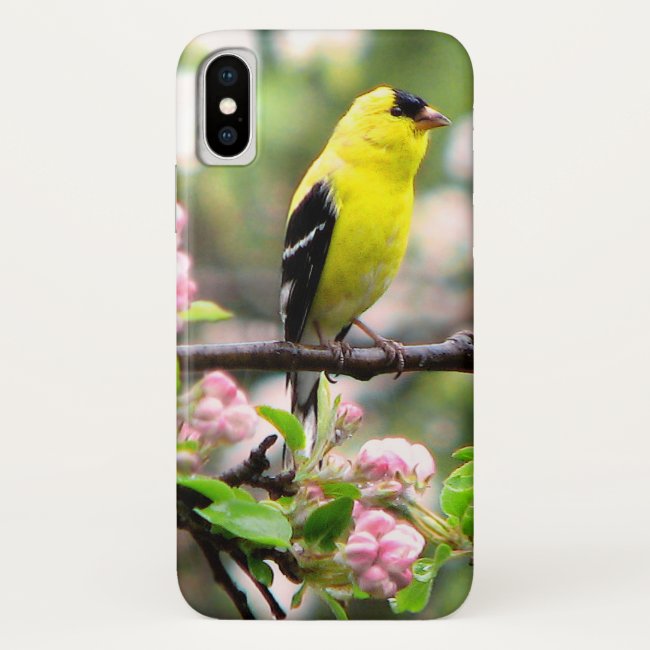 Goldfinch bird in Apple Tree Flowers iPhone X Case
