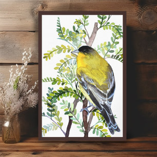 Goldfinch Bird in Desert Watercolor Art Poster