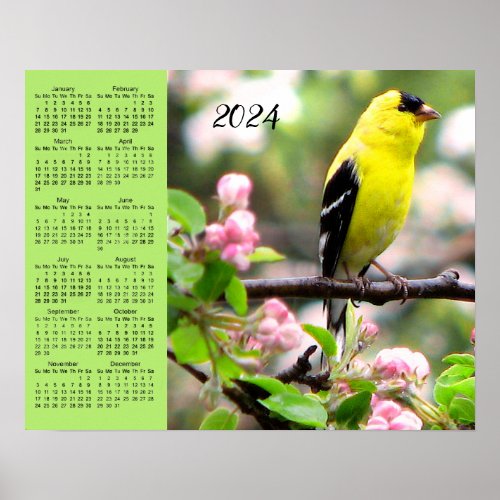 Goldfinch Bird in Pink Flower 2024 Calendar Poster