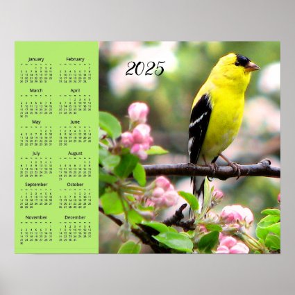 Goldfinch Bird in Pink Flower 2025 Calendar Poster