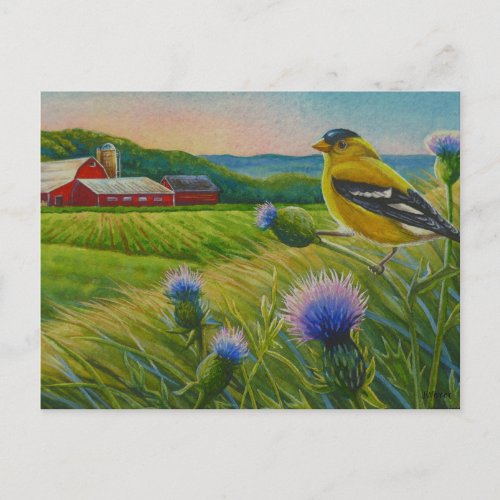 Goldfinch Bird Thistles Summer Farm Watercolor Art Postcard