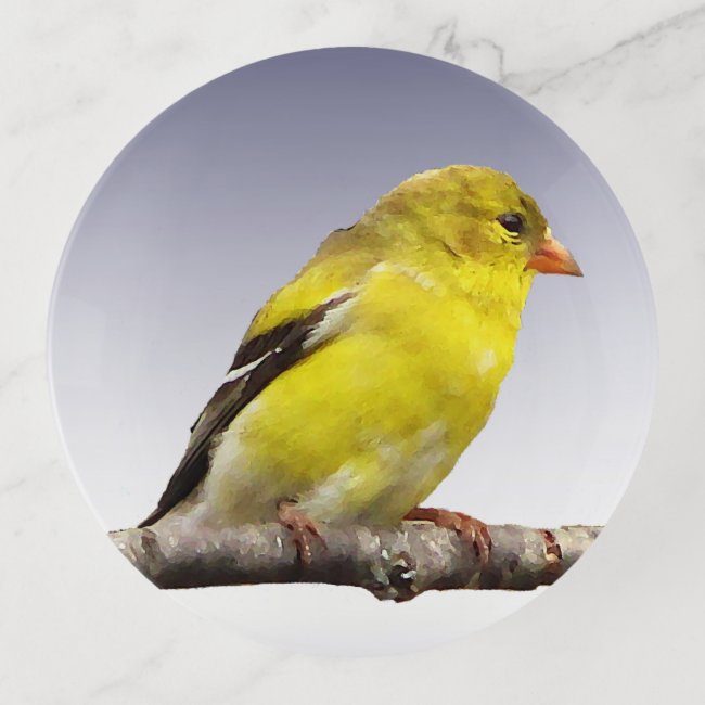 Goldfinch Bird Trinket Tray