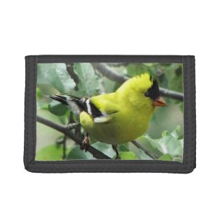 Goldfinch Bird Wallet
