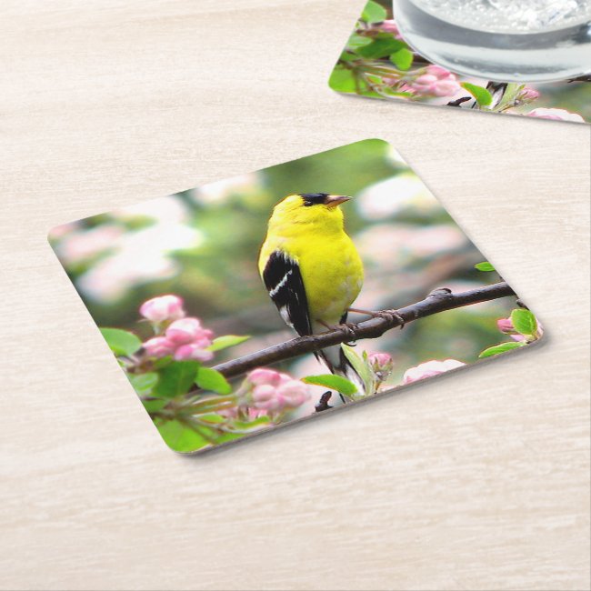Goldfinch Bird with Pink Flowers Paper Coasters