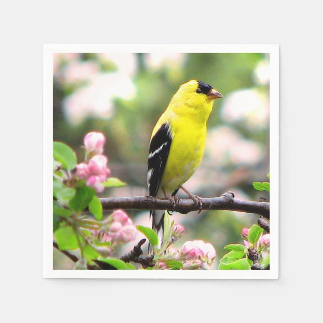 Goldfinch Bird with Pink Flowers Paper Napkins
