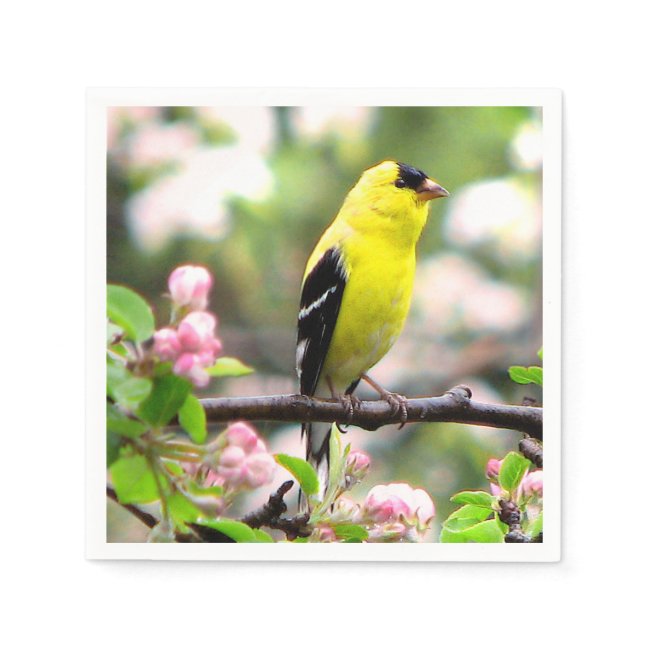 Goldfinch Bird with Pink Flowers Paper Napkins