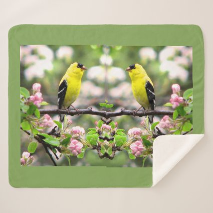 Goldfinch Bird with Pink Flowers Sherpa Blanket