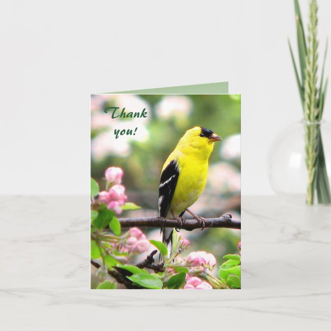 Goldfinch Bird with Pink Flowers Thank You Card