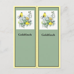 Goldfinch Birding Bookmarks Postcard