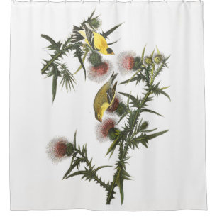 Goldfinch Birds Wildlife Audubon Shower Curtain