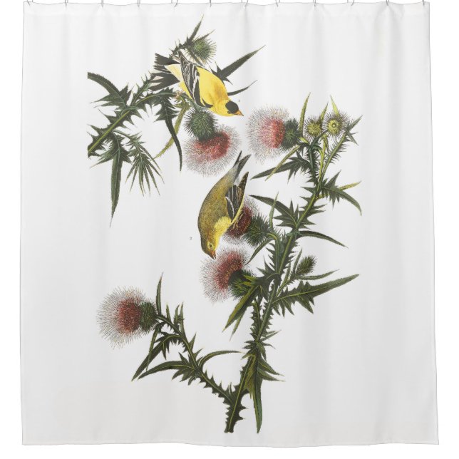 Goldfinch Birds Wildlife Audubon Shower Curtain (Front)