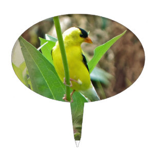 Goldfinch Cake Topper