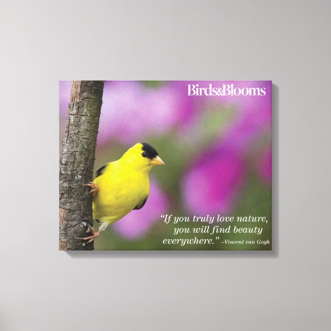 Goldfinch Canvas Print (Front)