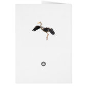 Goldfinch Cards (Back)
