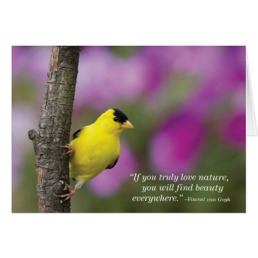 Goldfinch Cards (Front Horizontal)