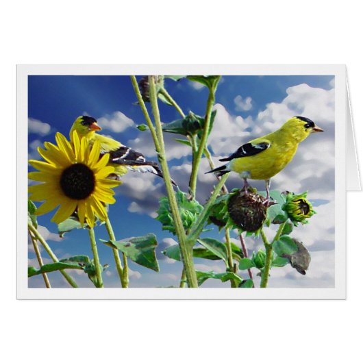 GoldFinch Cards (Front Horizontal)