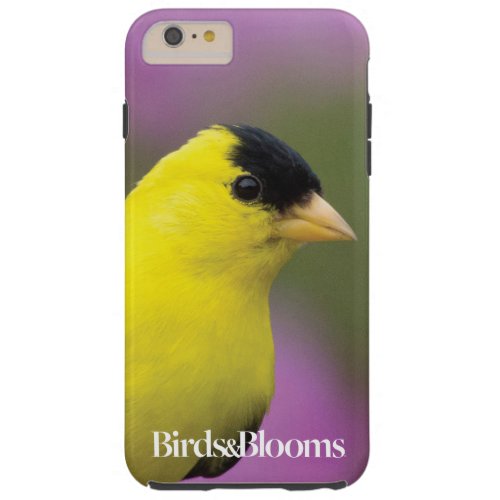 Goldfinch Tough iPhone 6 Plus Case