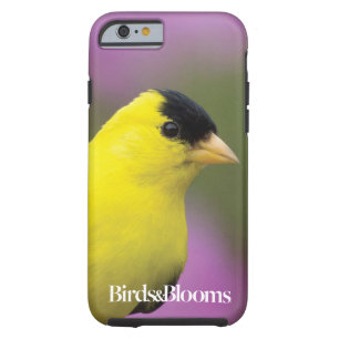 Goldfinch Tough iPhone 6 Case