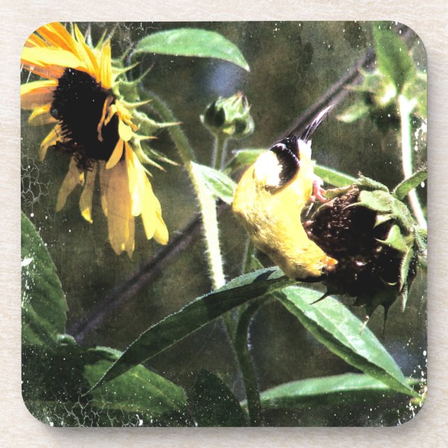 Goldfinch Coaster (Front)