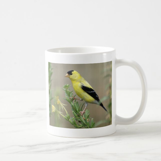 Goldfinch Coffee Mug (Right)